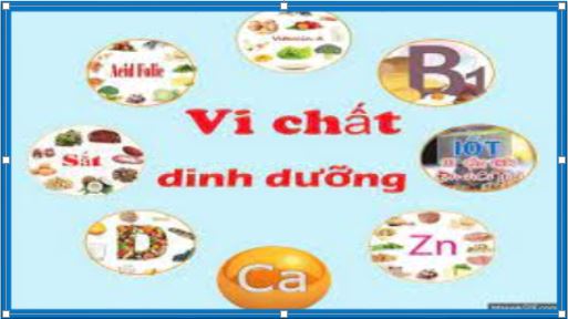 HƯỞNG ỨNG NGÀY VI CHẤT DINH DƯỠNG 01 - 02/6/2022