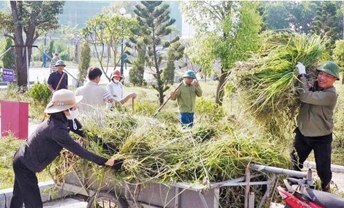 BẮC NINH: SỐNG XANH HƯỞNG ỨNG THÁNG HÀNH ĐỘNG VÌ MÔI TRƯỜNG 2026