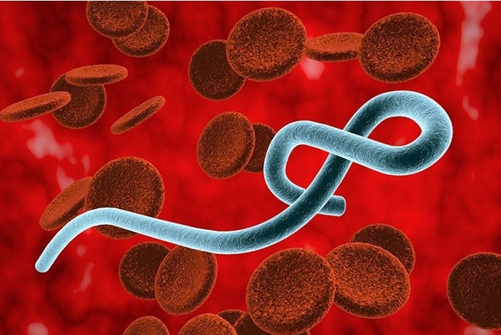 Bộ Y TẾ KHUYẾN CÁO NGƯỜI DÂN CHỦ ĐỘNG PHÒNG BỆNH EBOLA SAU CẢNH BÁO CỦA WHO