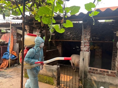 TĂNG CƯỜNG PHÒNG, CHỐNG CÁC BỆNH CÚM GIA CẦM, LỞ MỒM LONG MÓNG VÀ DỊCH TẢ LỢN CHÂU PHI TRÊN ĐỊA BÀN TỈNH